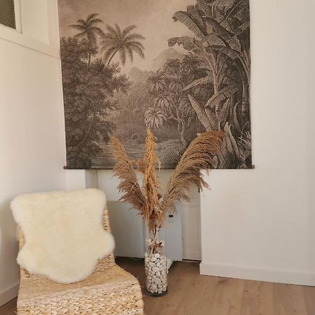 Le Studio Cosy - Labenne Eksteriør billede